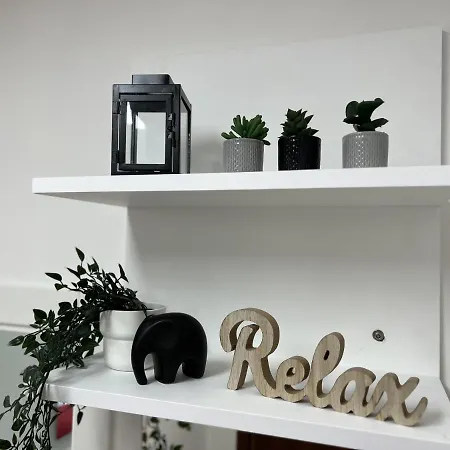 Comfort Zone * Mestre