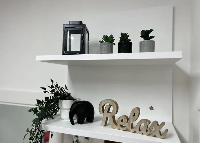 Comfort Zone * Mestre